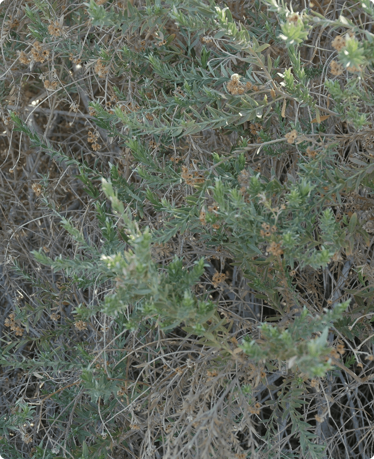 highlight-14_image(5)