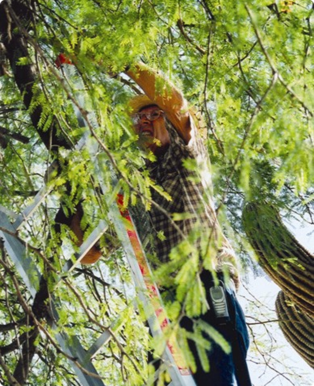 highlight-14_image(6)